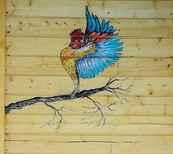 A macaw with a red head and turquoise and cobalt wings, wings raised and beak turned back to its shoulder, perched on a leafless dark branch painted across the boards of a pine shed door.