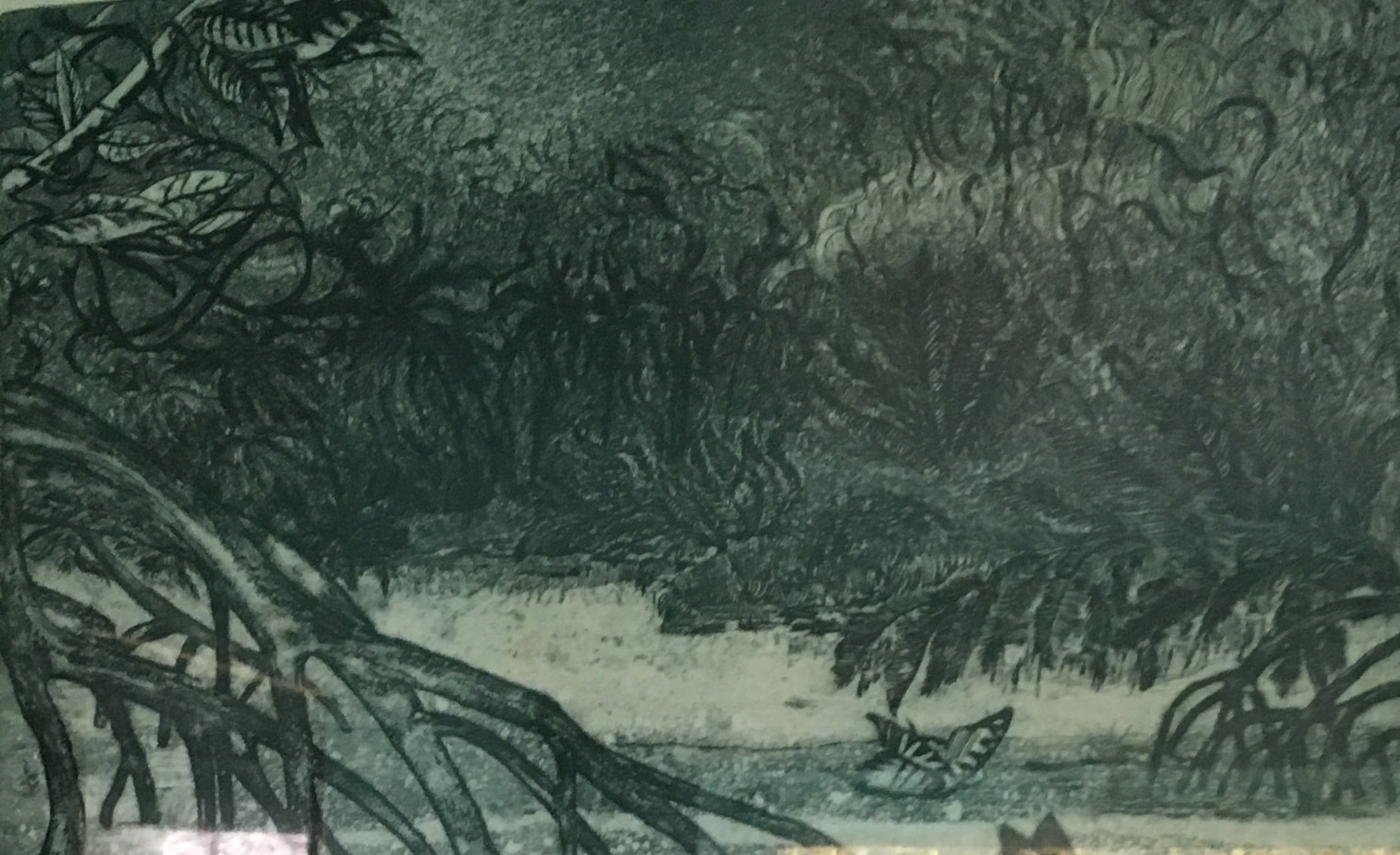 Dense jungle undergrowth in cool greens and near-black, tangled roots and fern-like fronds framing a pale clearing where a single butterfly rests