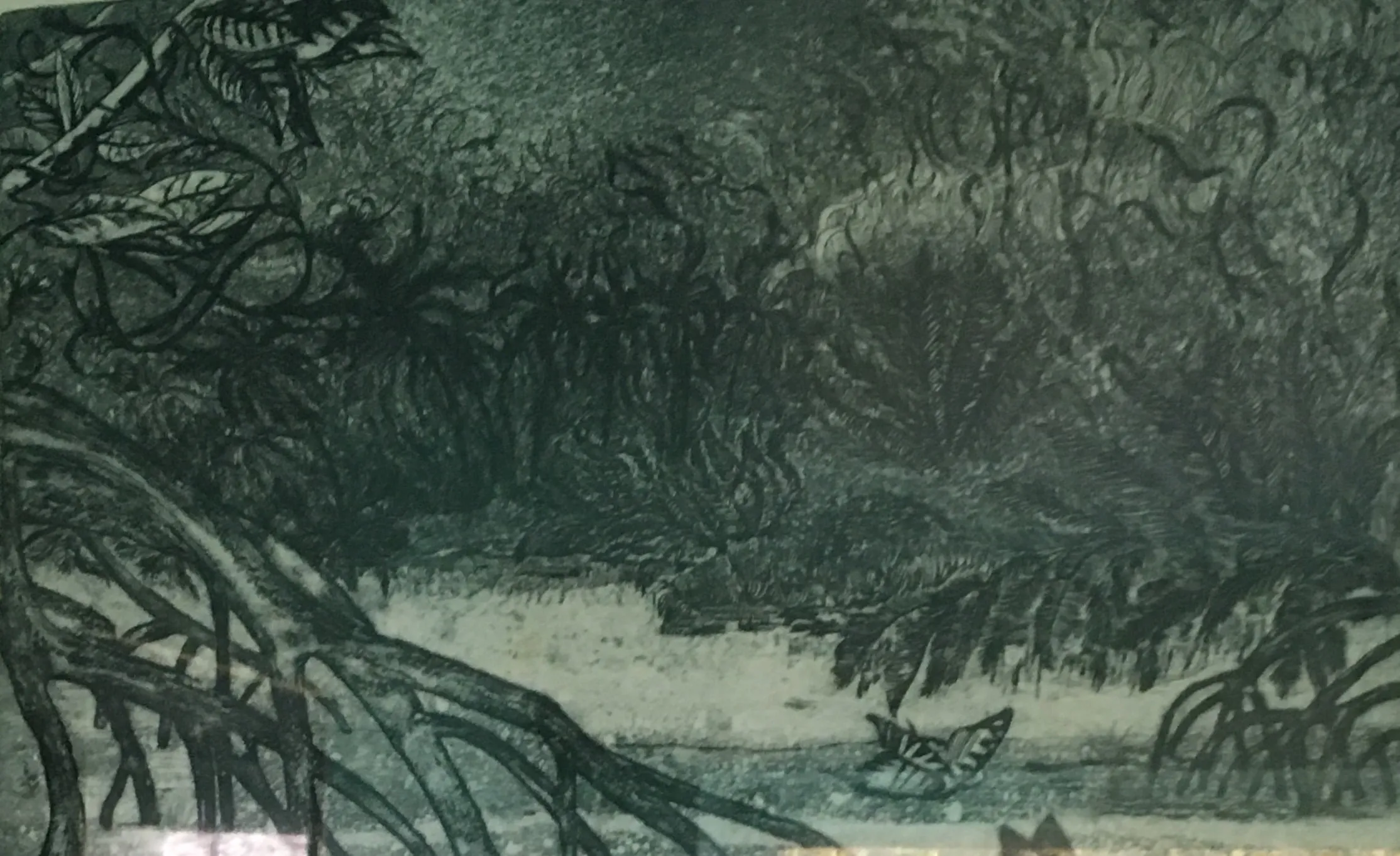 Dense jungle undergrowth in cool greens and near-black, tangled roots and fern-like fronds framing a pale clearing where a single butterfly rests
