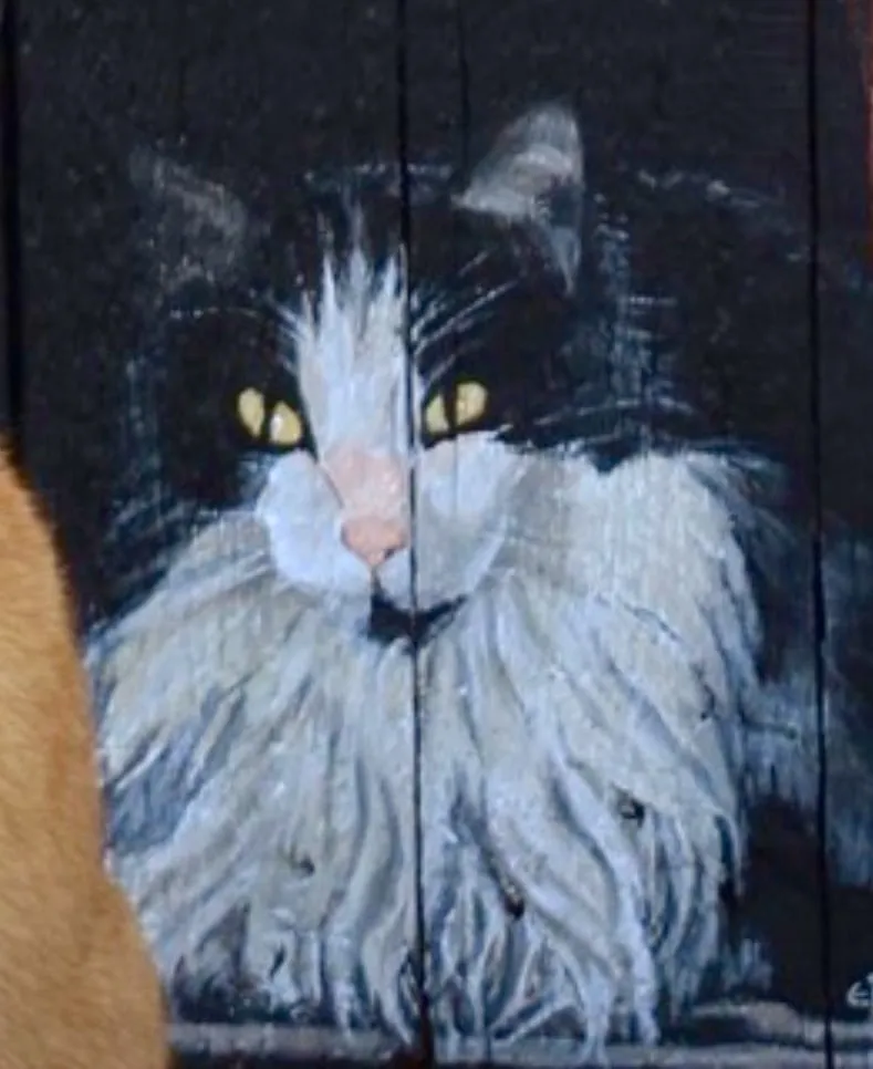 Portrait of a long-haired black and white cat with lemon-yellow eyes and a soft pink nose, its silver-white ruff painted in loose brushstrokes on dark wooden boards.