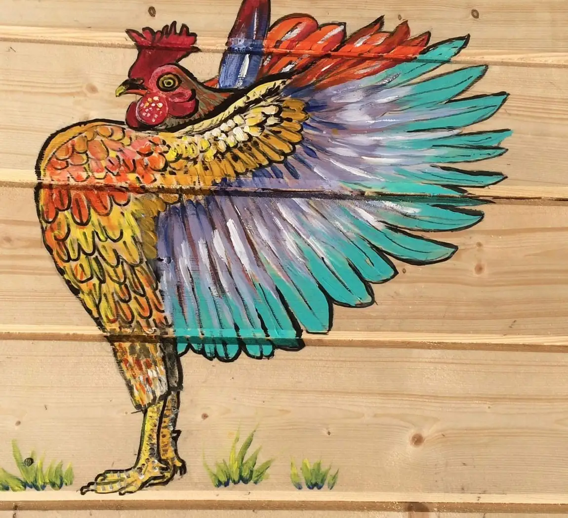 A bold cockerel painted on pale pine shed planks, with a red crown, orange and yellow body feathers, and a fanned tail of turquoise, lilac and white feathers standing on grass