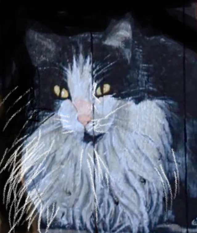A long-haired black and white cat with pale yellow eyes and a soft pink nose, its long white ruff and whiskers painted in loose sweeping brushstrokes against a near black ground.